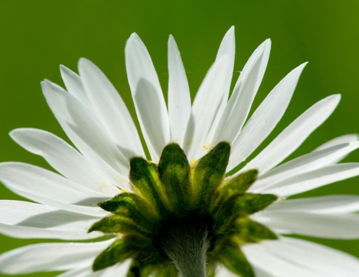 Программа «Антистресс» - Санаторий «Марфинский»